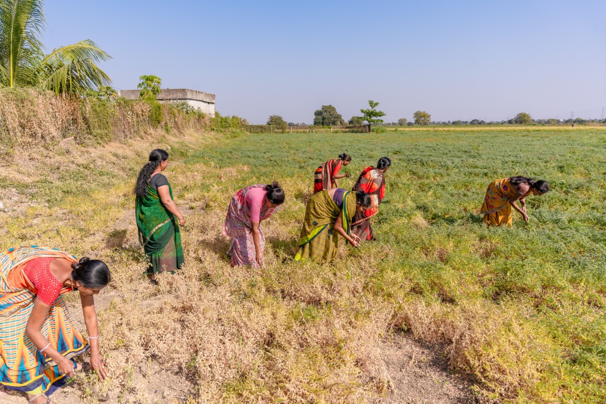 Empowering Rural Communities Through Sustainable Livelihoods