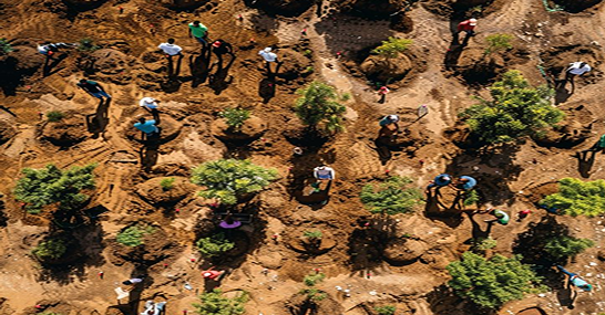Sustainable Change Begins When Communities Come Together, Participate, and Create Solutions